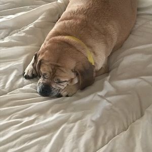 Meet your Posher, Nichole